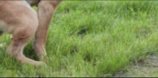 Cardisgneration's tweet image. fixed it