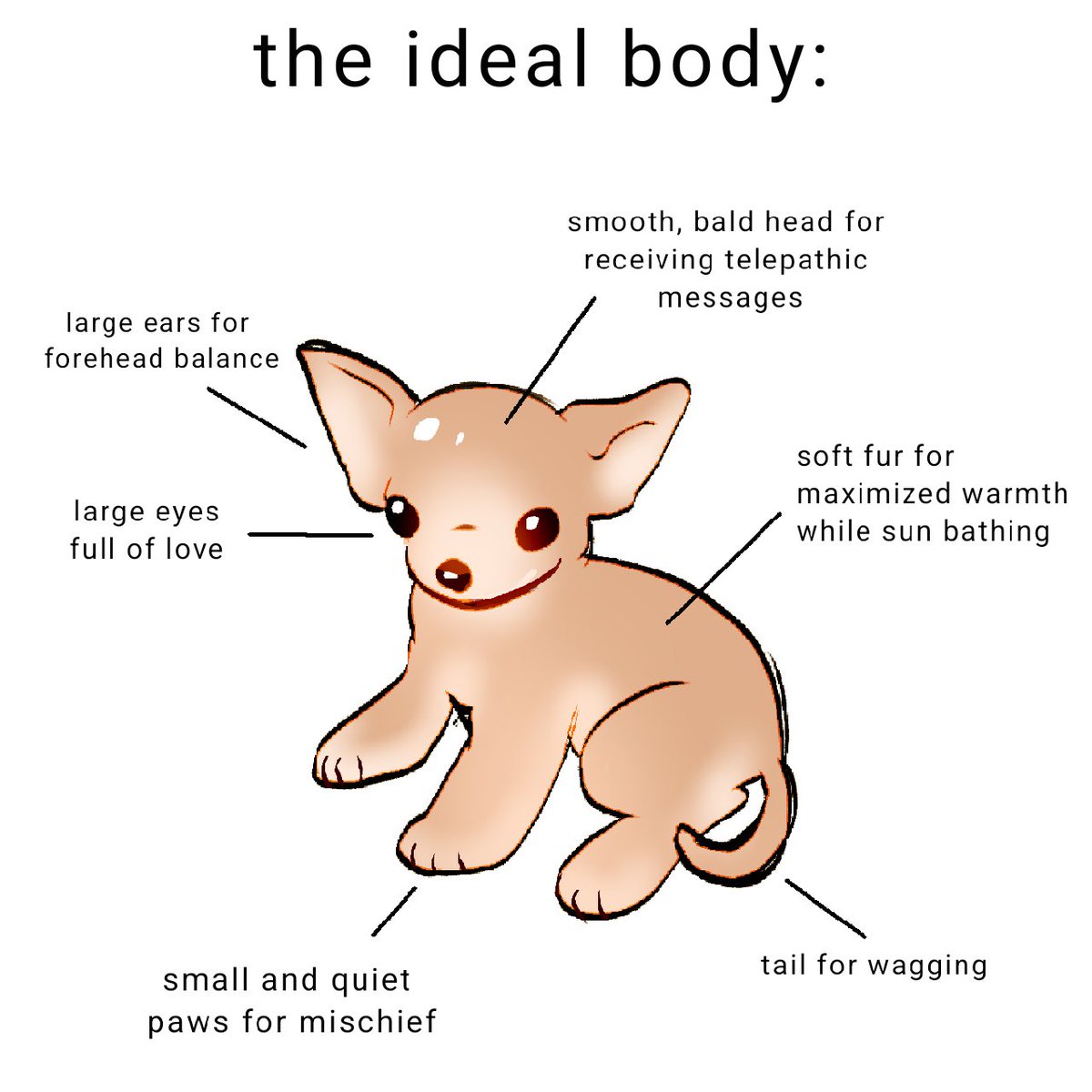 everyponie's tweet image. 