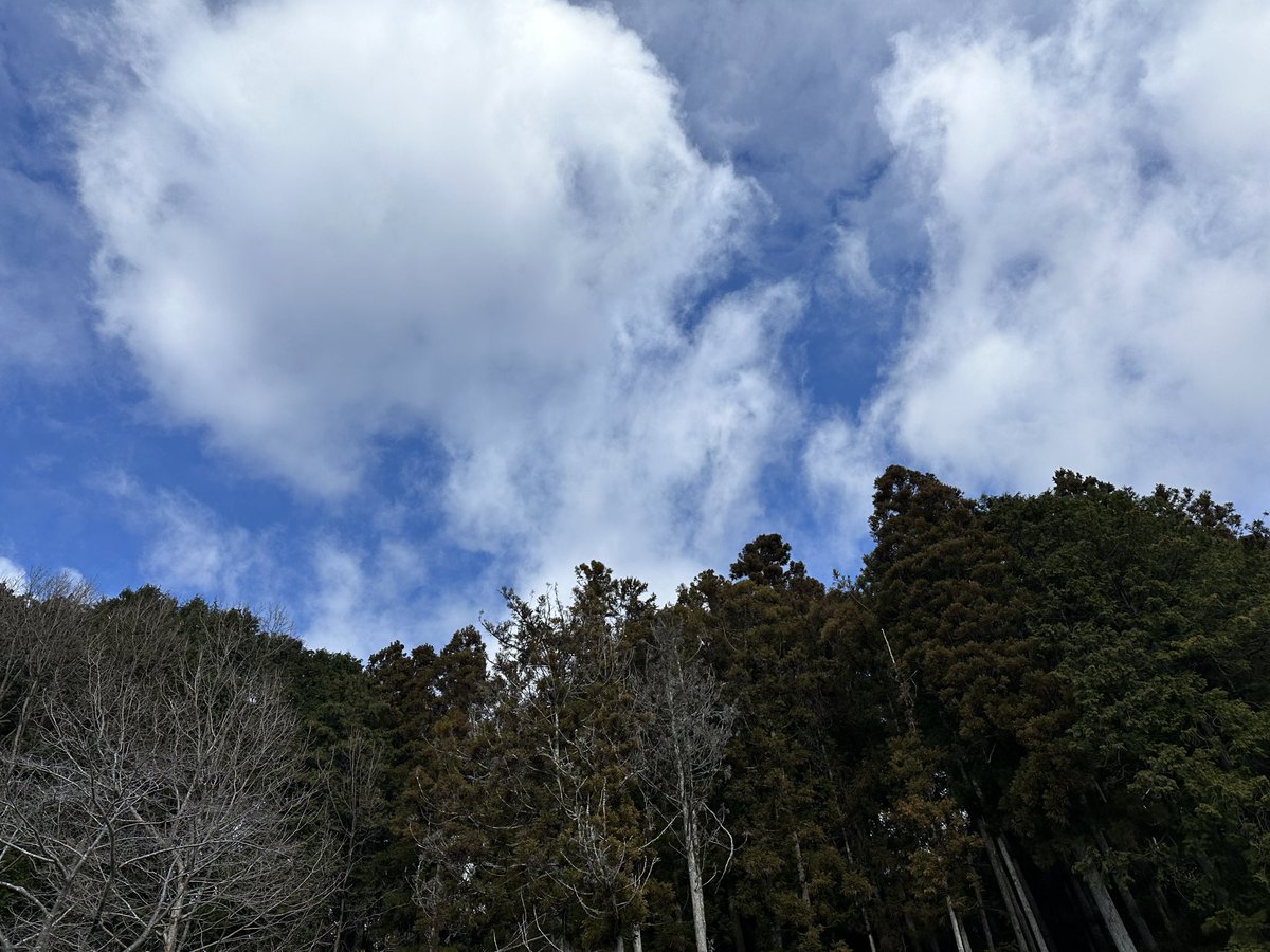 最強寒波 - ʕ⁎̯͡⁎ʔ༄ *･.° ⭐︎

今日も寒いですね༄ ༄ ༄
三連休は今季最強寒波が襲来する予報❄️
皆さん、暖かくしてお過ごしください😊🧣