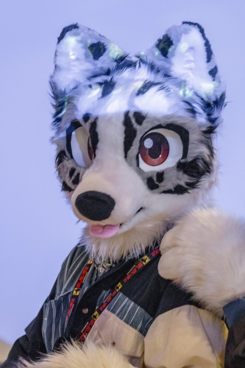 犬伏けんた🐾 (@inuinukenken03) / Posts / X