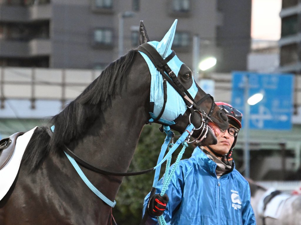 2026.1.1 12R #モモジロー #川崎競馬