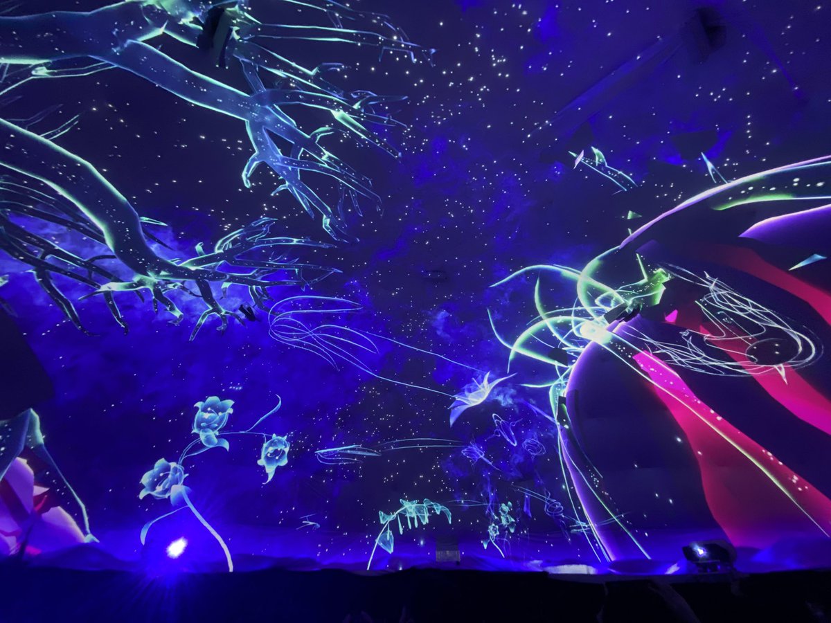 team:beyond_a_bit tweet media