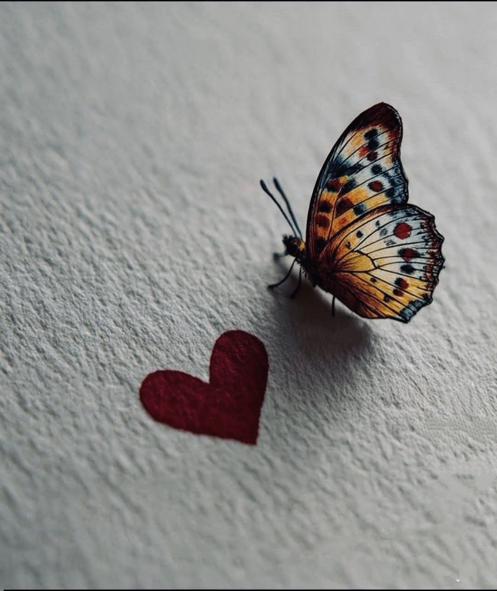 JuJu (@juju37189419) on Twitter photo 