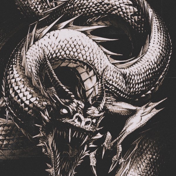 ︎ ︎ ︎ ︎ ҂.; ꩜影。 tweet media