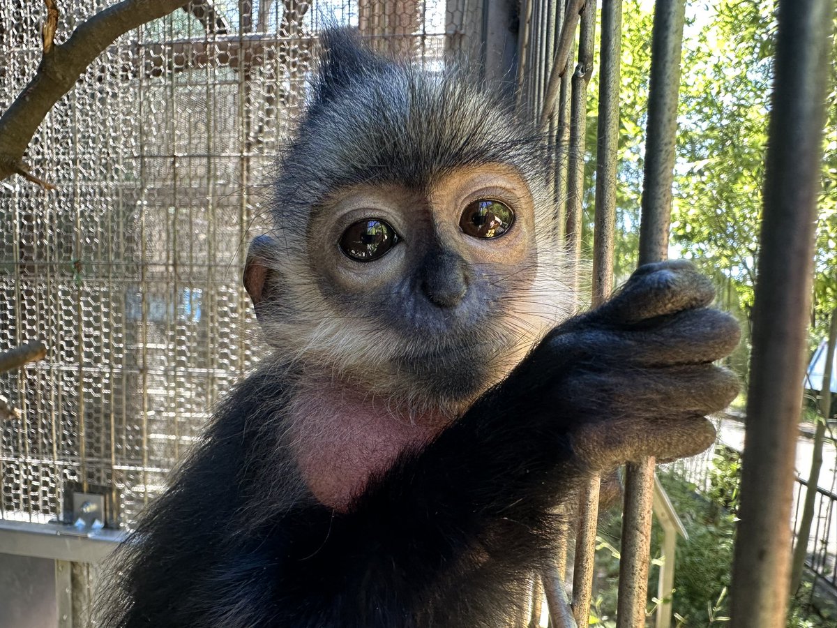 Miki (@mickey44mickey) / Posts / X