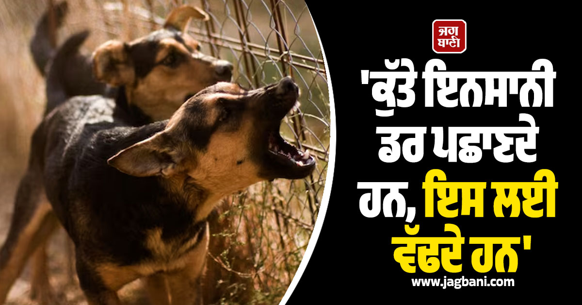 JagbaniOnline's tweet photo. ਸੁਪਰੀਮ ਕੋਰਟ ਨੇ ਵੀਰਵਾਰ ਨੂੰ ਕਿਹਾ ਕਿ ਉਸ ਨੇ ਸੜਕਾਂ ਤੋਂ ਹਰ ਕੁੱਤੇ ਨੂੰ ਹਟਾਉਣ ਦਾ ਨਿਰਦੇਸ਼ ਨਹੀਂ ਦਿੱਤਾ ਤੇ ਉਸ ਦਾ ਨਿਰਦੇਸ਼ ਐਨੀਮਲ ਬਰਥ ਕੰਟਰੋਲ ਦੇ ਨਿਯਮਾਂ ਤਹਿਤ ਇਨ੍ਹਾਂ ਆਵਾਰਾ ਕੁੱਤਿਆਂ ਨਾਲ ਨਜਿੱਠਣ ਨਾਲ ਸਬੰਧਤ ਸੀ। ਅਦਾਲਤ ਨੇ ਕਿਹਾ ਕਿ ਕੁੱਤੇ ਇਨਸਾਨੀ ਡਰ ਪਛਾਣਦੇ ਹਨ, ਇਸ ਲਈ ਵੱਢਦੇ ਹਨ। 
#Staydogs #SupremeCourt https://t.co/K5AJ9vhPJP