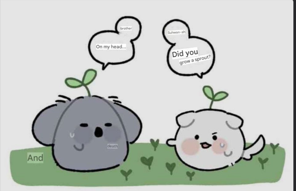 #Peyz #페이즈 관련 이미지