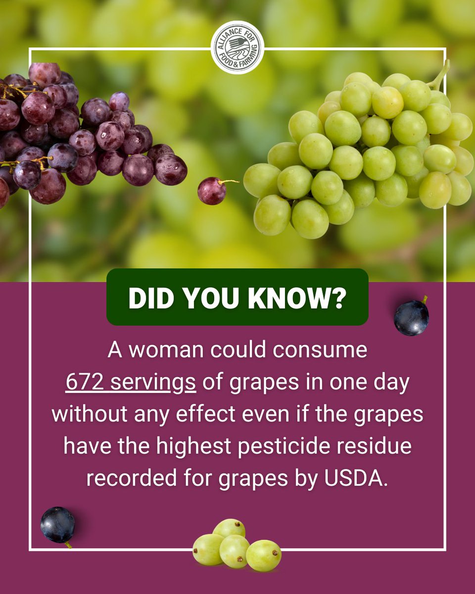 SafeFruitsAndVeggies tweet media