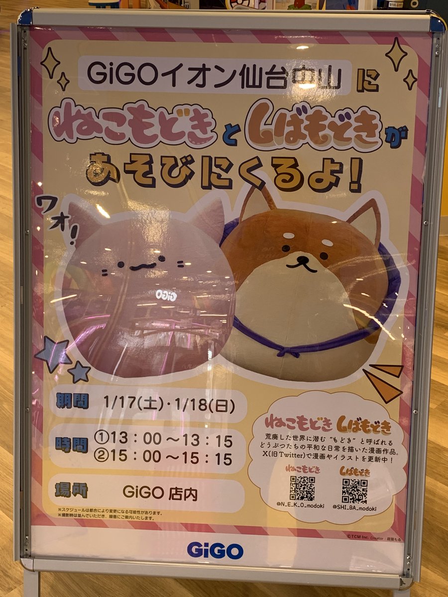 庭猫もる (@mogeyamamolx) / Posts / X