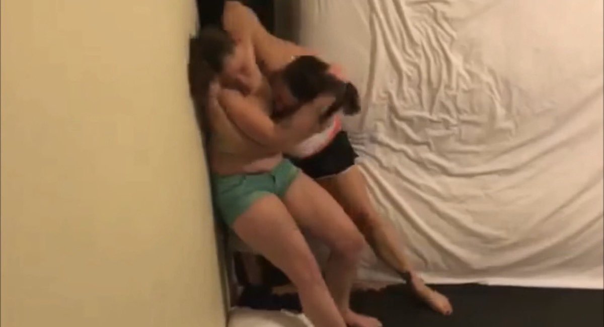 7citiescatfight tweet media