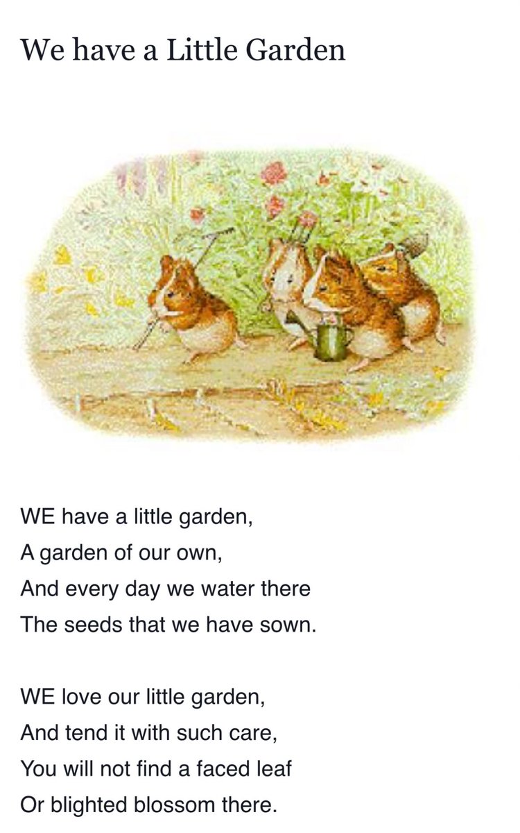 The Borealis Frequency tweet media