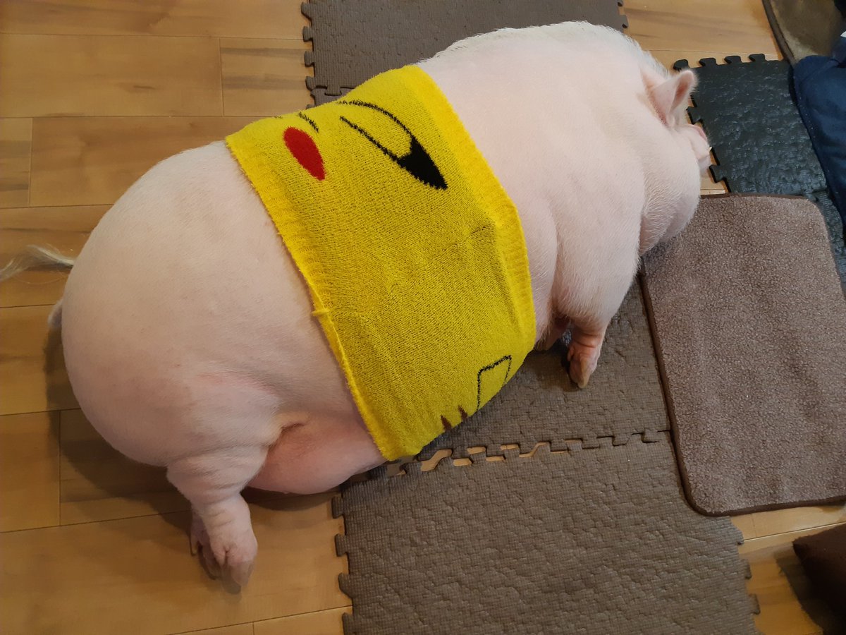 1112ancomain151's tweet image. おそおきさんの
あんねぇ🤗

お昼過ぎに起きた💦

トイレ済ませ
ご飯も食べて
カキカキ求む😊だな