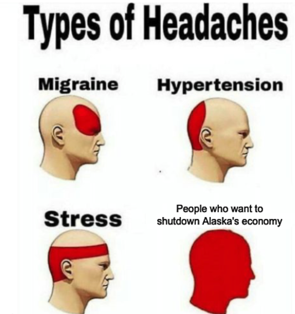 Securing Alaska's Future tweet media