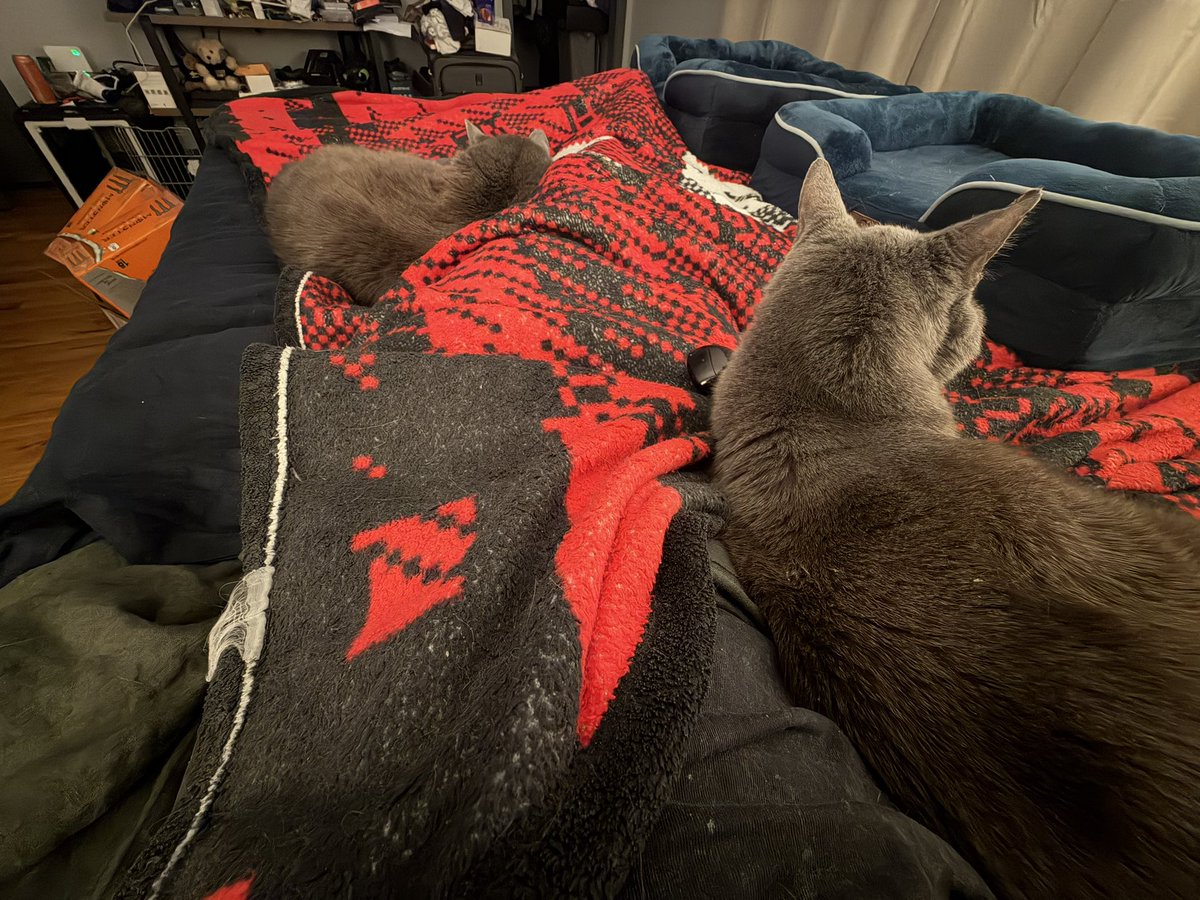 update they have entrapped me with cuddles