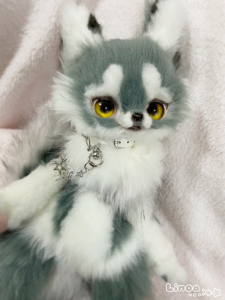 まんまるんアートドール牧場🐄🦓🎀 (@WLMmanmarun) / Posts / X