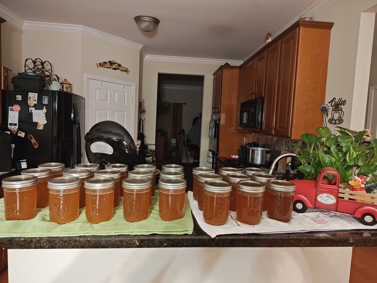 EllieBurnett11's tweet image. Had a full day of #pressurecanning roasted chicken bone stock. Twenty-four pints for the pantry.💪🏻#liquidgold