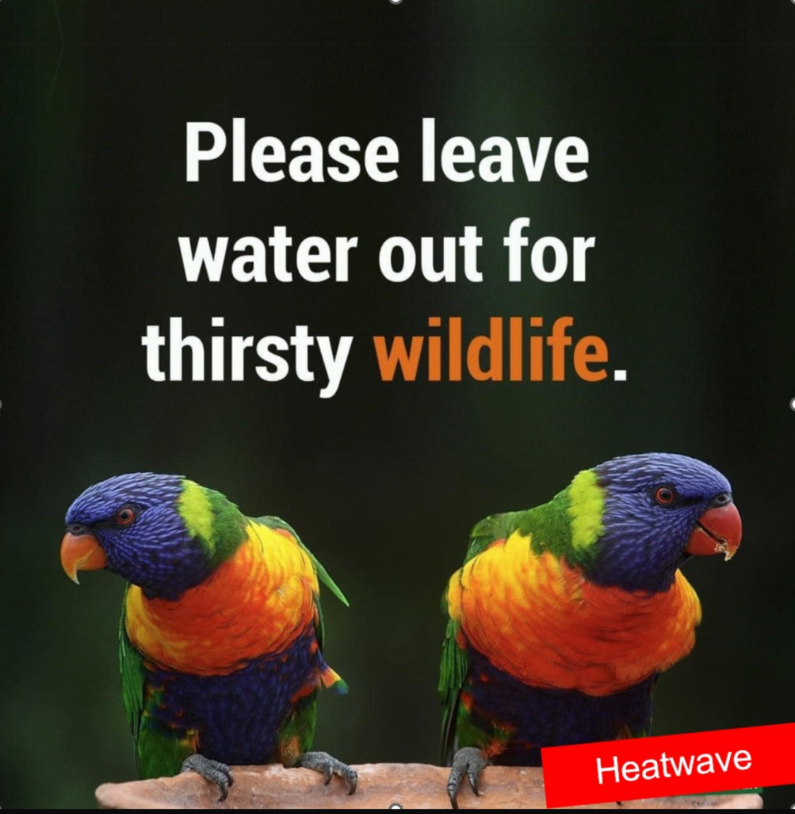 Jamie Parker tweet media