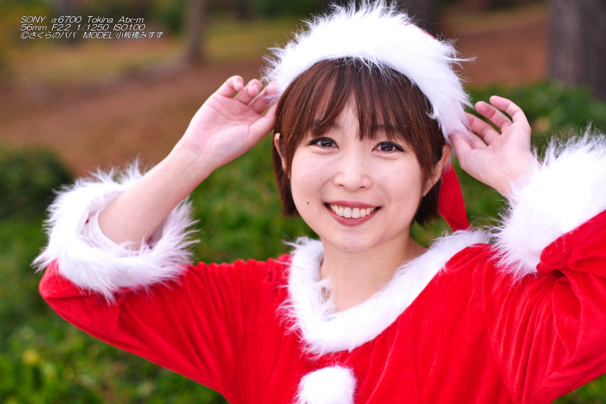 🇺🇦さくら🐇のパパ🇯🇵高配当株に移行中🇺🇦 (@K70_55) / Posts / X