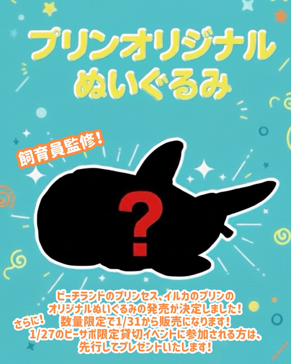 プリンのぬいぐるみ発売決定✨ イルカの「プリン」の飼育員監修