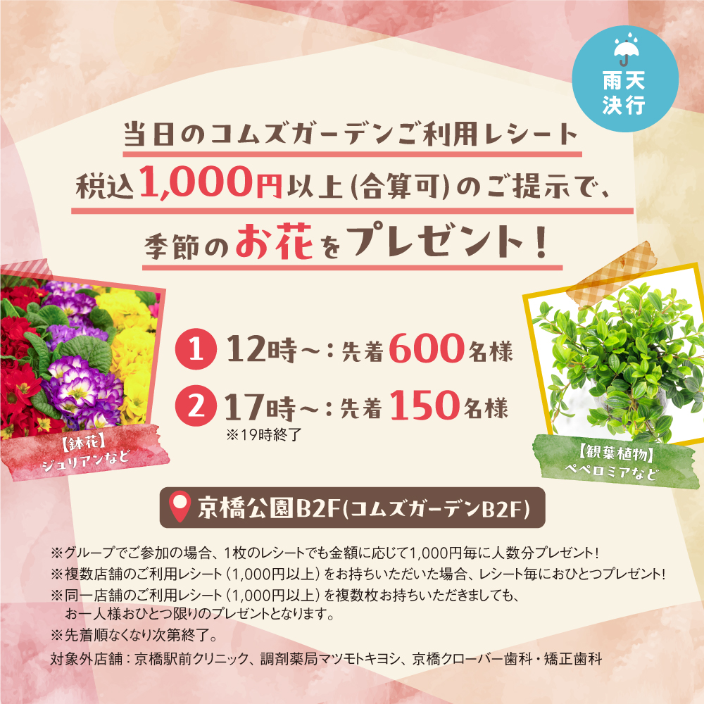 コムズガーデン【公式】 tweet media