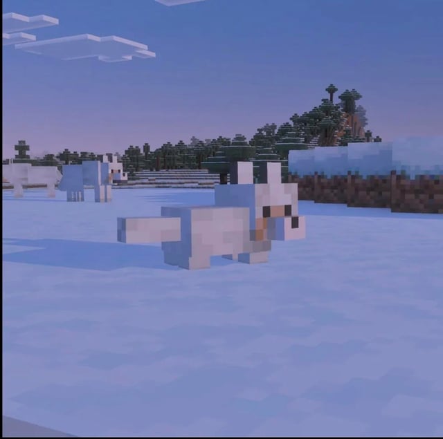 나도 비포가 마크! 같아서 좋긴한데
아기늑대존나귀여워서걍쌉치고있기로함