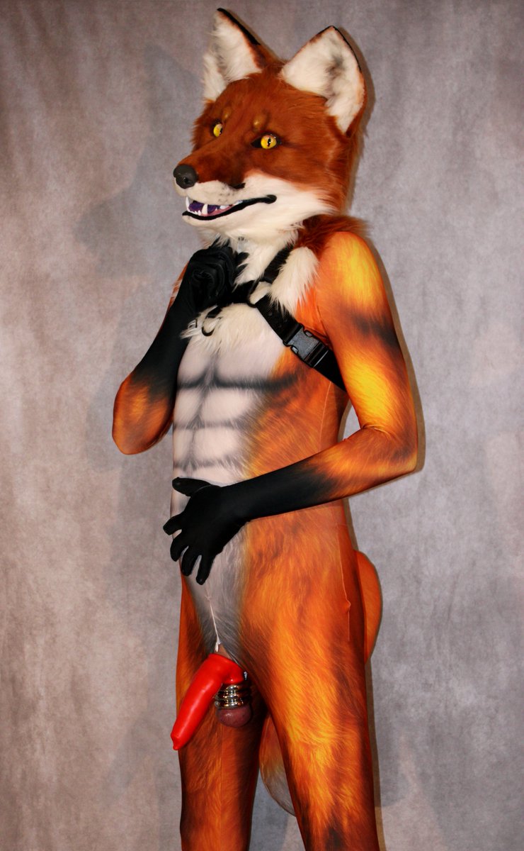 Well now...

#petsuit

🦊🪡 by <a href="/PETSUITFORFUN/">PETSUIT ペットスーツ</a> 
🍆 by <a href="/OxBalls/">OXBALLS</a> 
Harness by <a href="/PrimalHardwere/">Primal Hardwere</a>