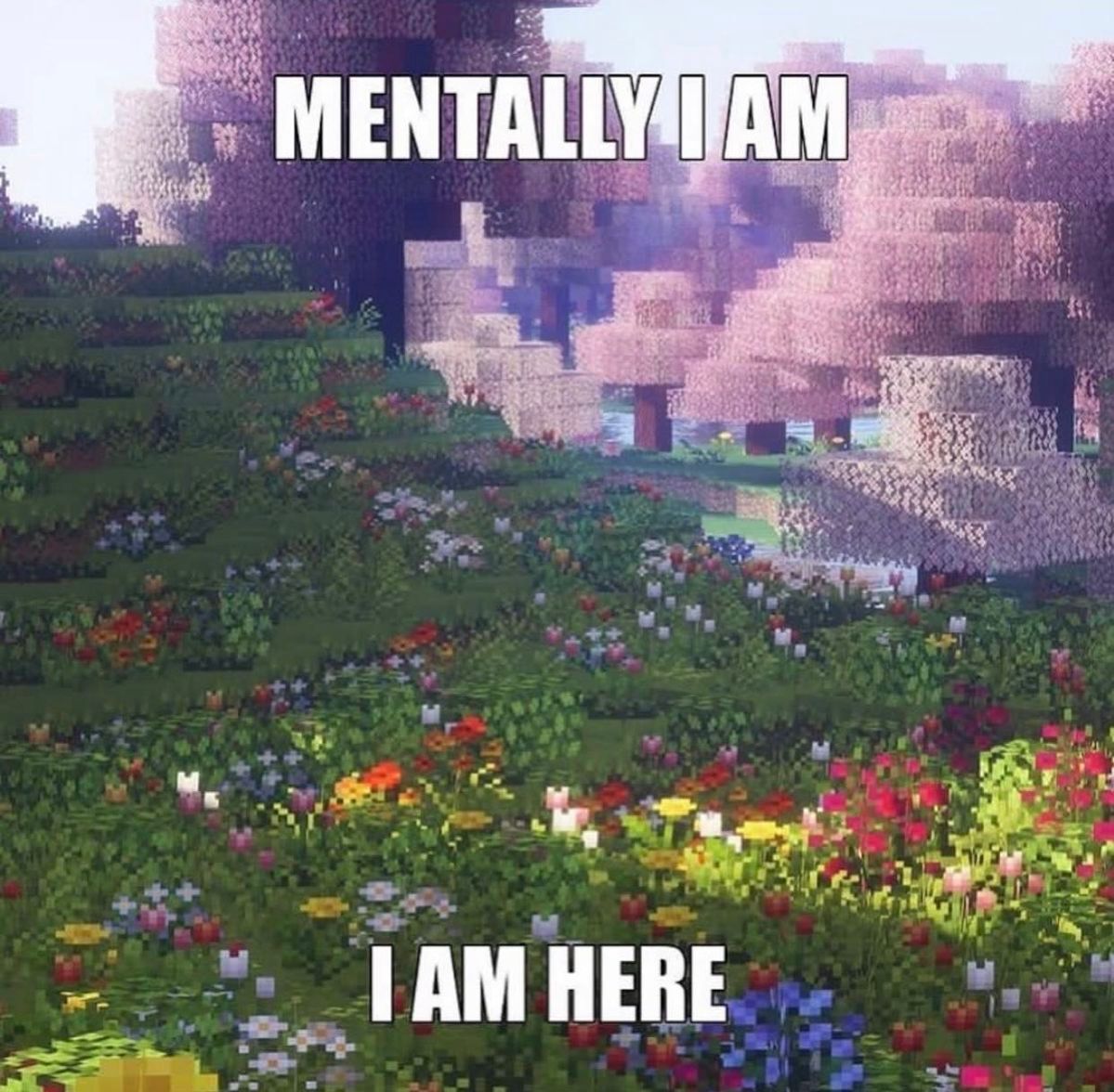 Enderman's tweet image. 