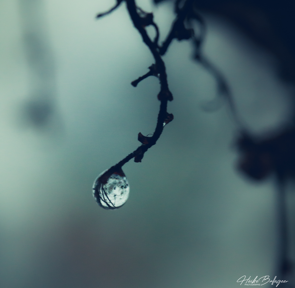 Heike John Ba tweet media