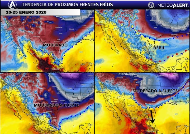 MeteoAlert Tampico tweet media