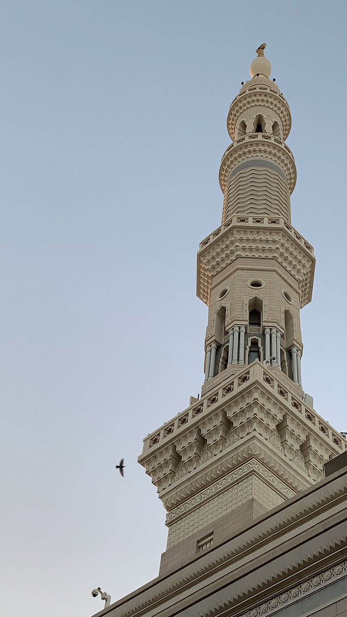 stjiii11's tweet photo. النعيم أن تستفتح يومك هنا🤍. https://t.co/7cZOxKDMvT