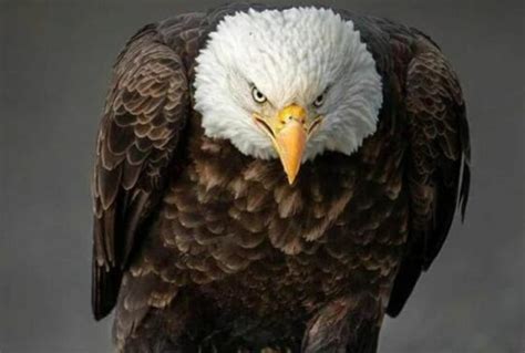 JM Miller tweet media