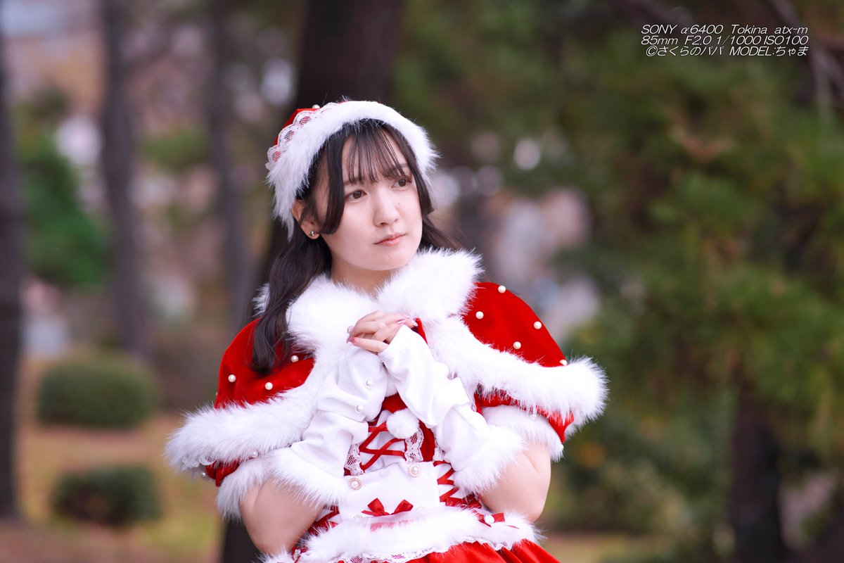 🇺🇦さくら🐇のパパ🇯🇵高配当株に移行中🇺🇦 (@K70_55) / Posts / X