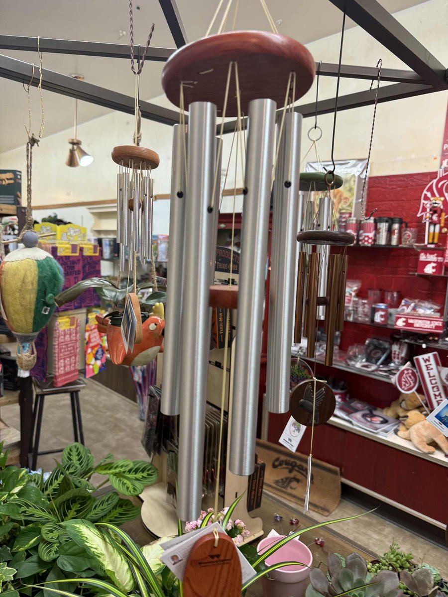 Neill'sFlowers&Gifts tweet media