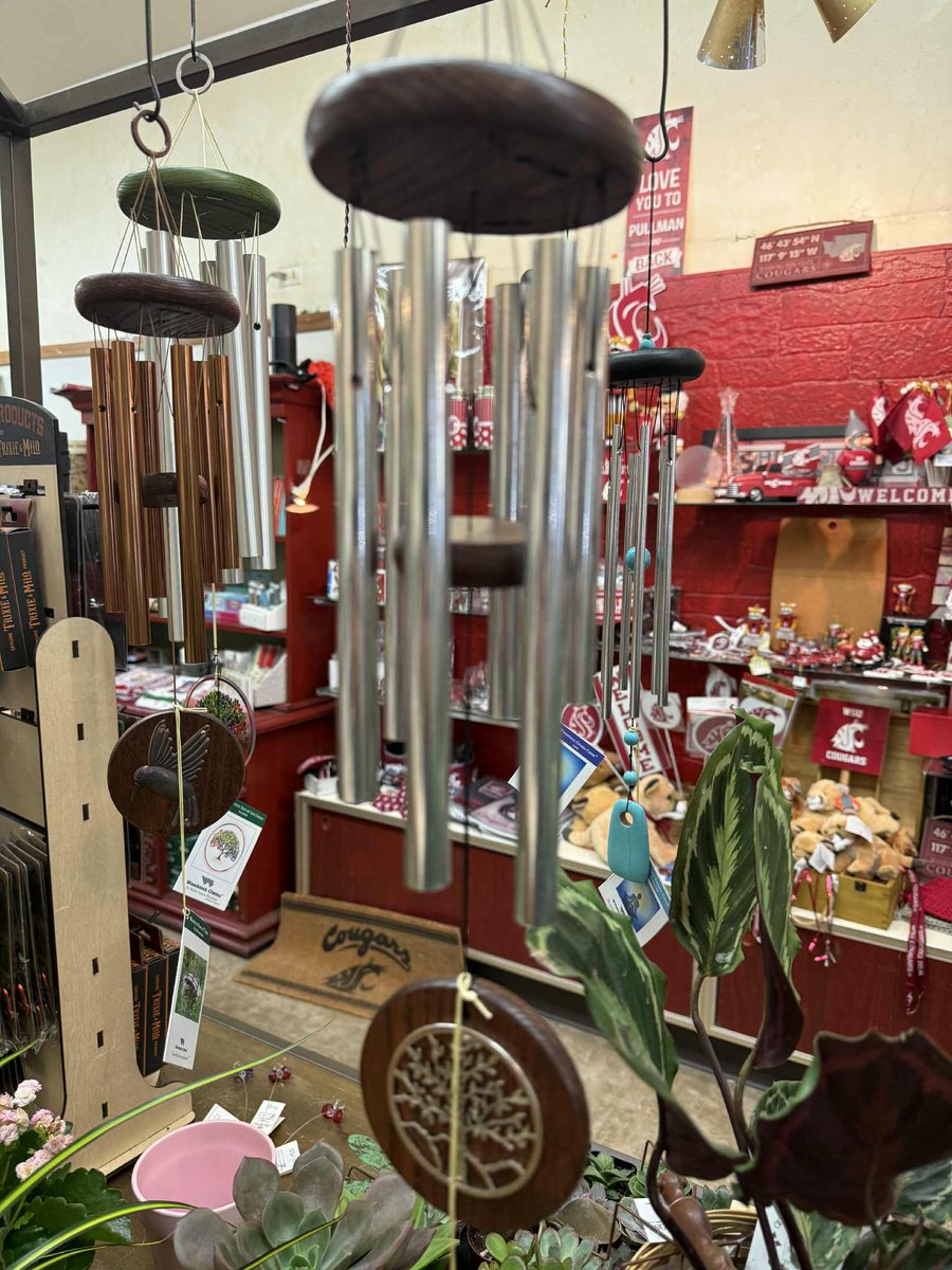 Neill'sFlowers&Gifts tweet media