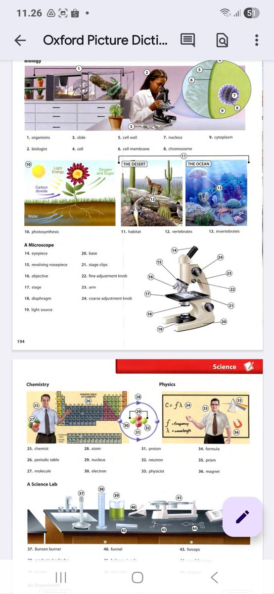 kiwech2's tweet image. nemu ebook bagus banget buat nambahin belajar kosa kata  bahasa inggris 🥳🎊

kalau mau linknya : drive.google.com/drive/folders/…