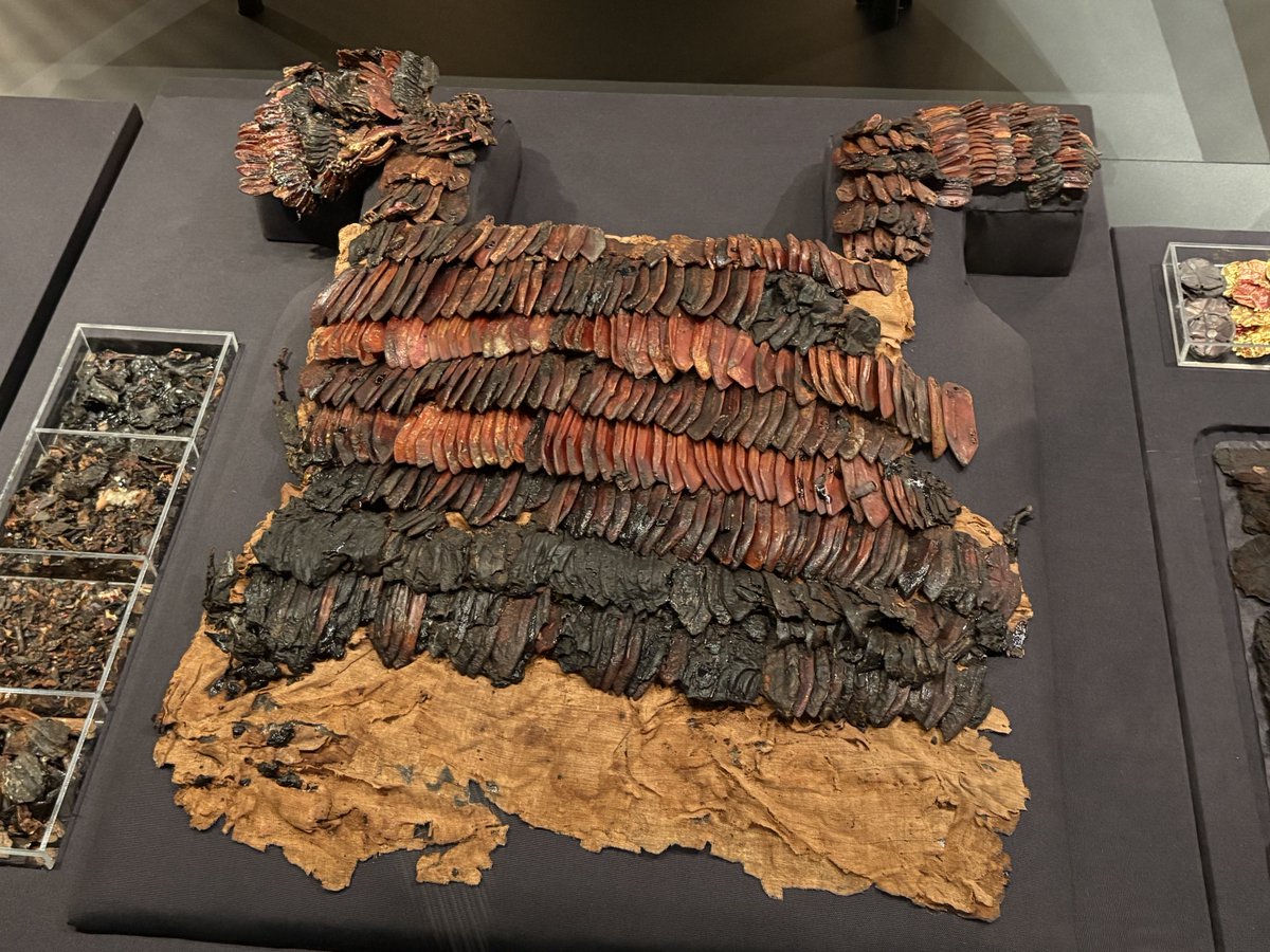 Dr Karin Sowada tweet media