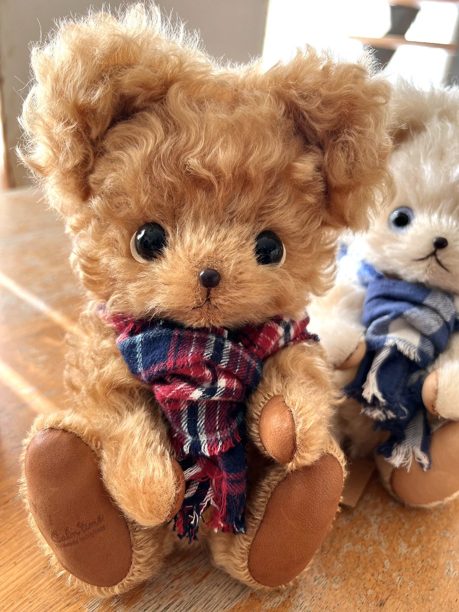 もうりみか（Calm*time） tweet media