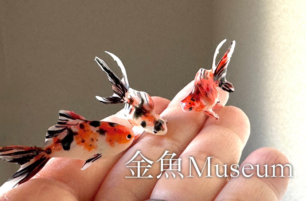 金魚　様 金魚広場 NO64 春休み・明2歳オールスター 津軽錦(1)普通鱗3、透明鱗