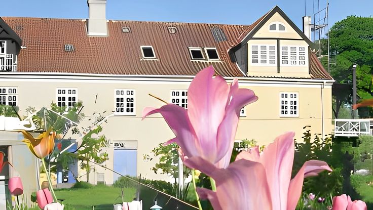 moixce's tweet image. #zonauang #zonatest halo test masuk?