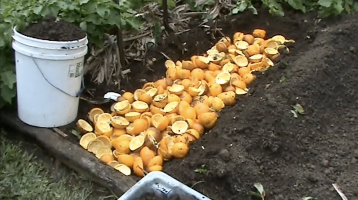 Robert Peacock (@robertpeacock22) on Twitter photo 