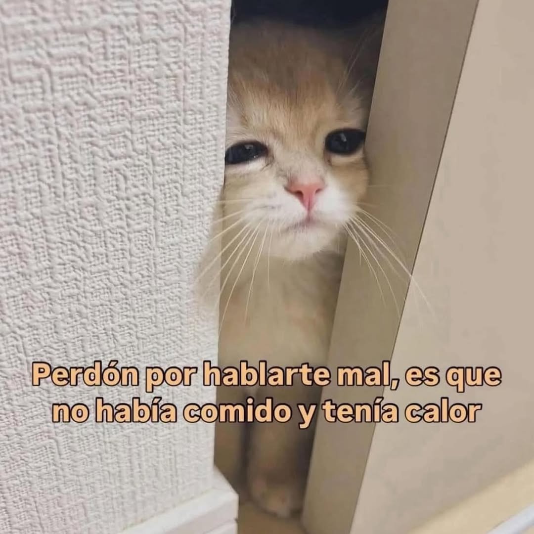 Escritos (@aquilolei) on Twitter photo 