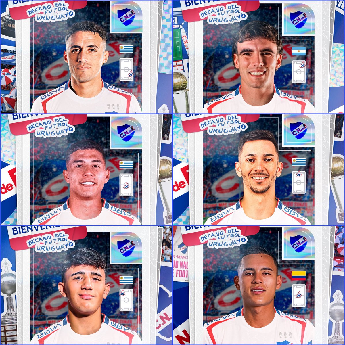 Alexander Tricolor tweet media