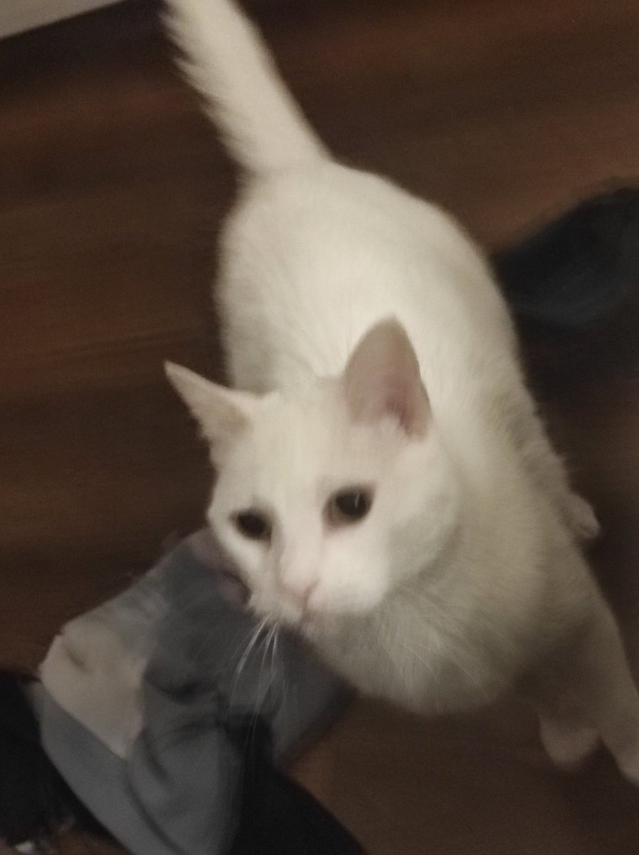 Con toda la caga que está pasando hay espacio pa weviar con la Carmen esa?