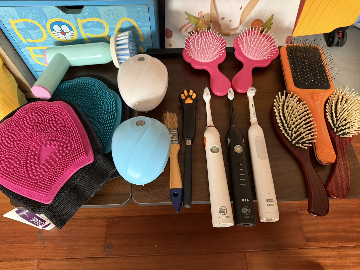 PAWS🐾ZATA 爪擽🐾柴太 tweet media