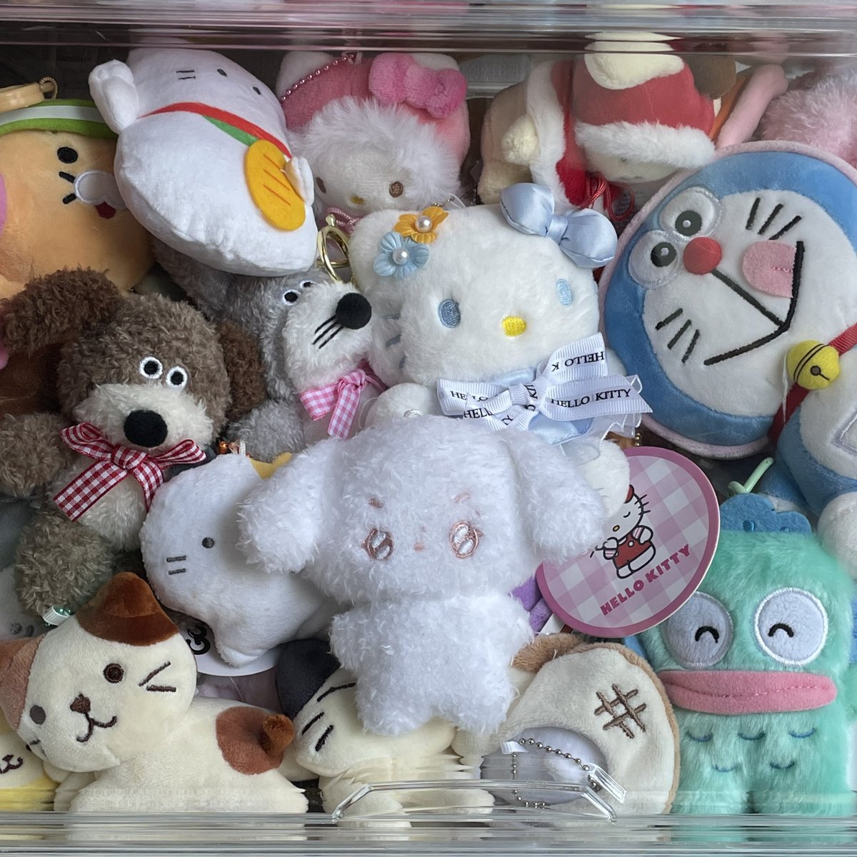 뭉짜니 tweet media