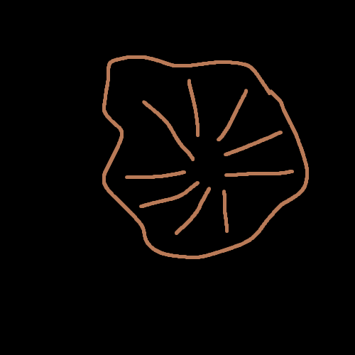 SolDevMFG's tweet image. Slow Cook like That Chili I had Last Night 
$Asshole