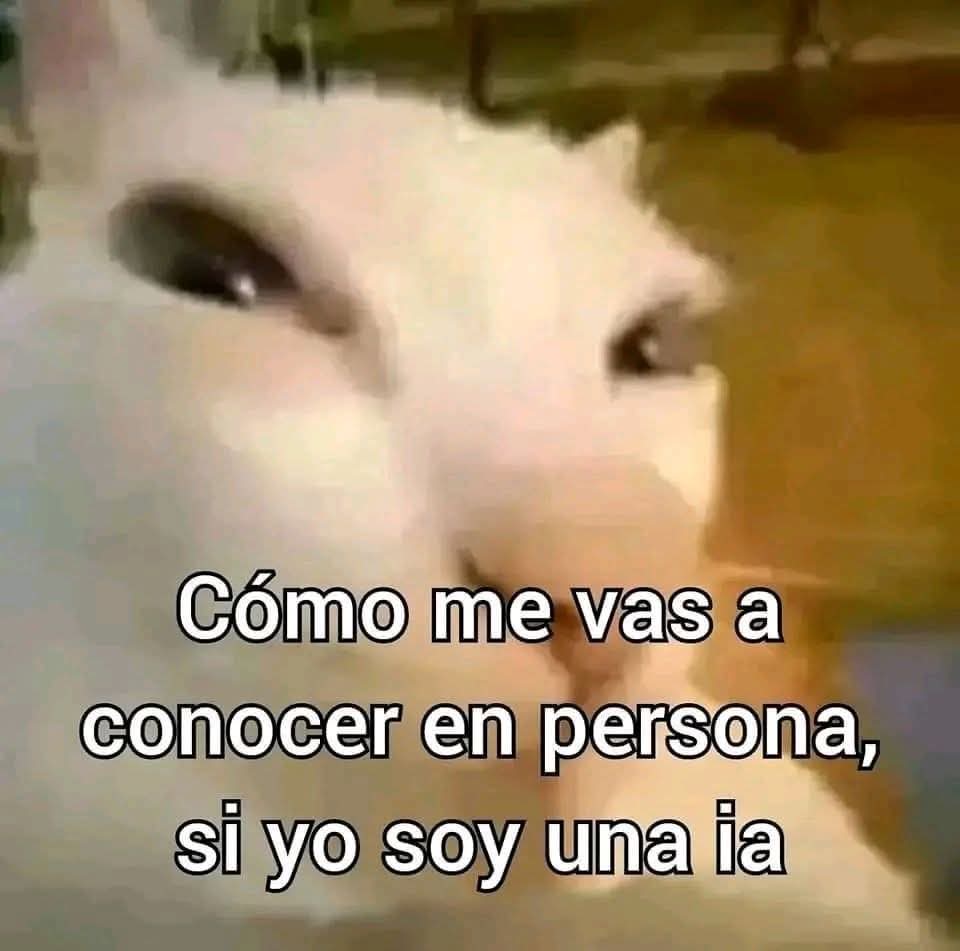 Ya saben mayfrends...