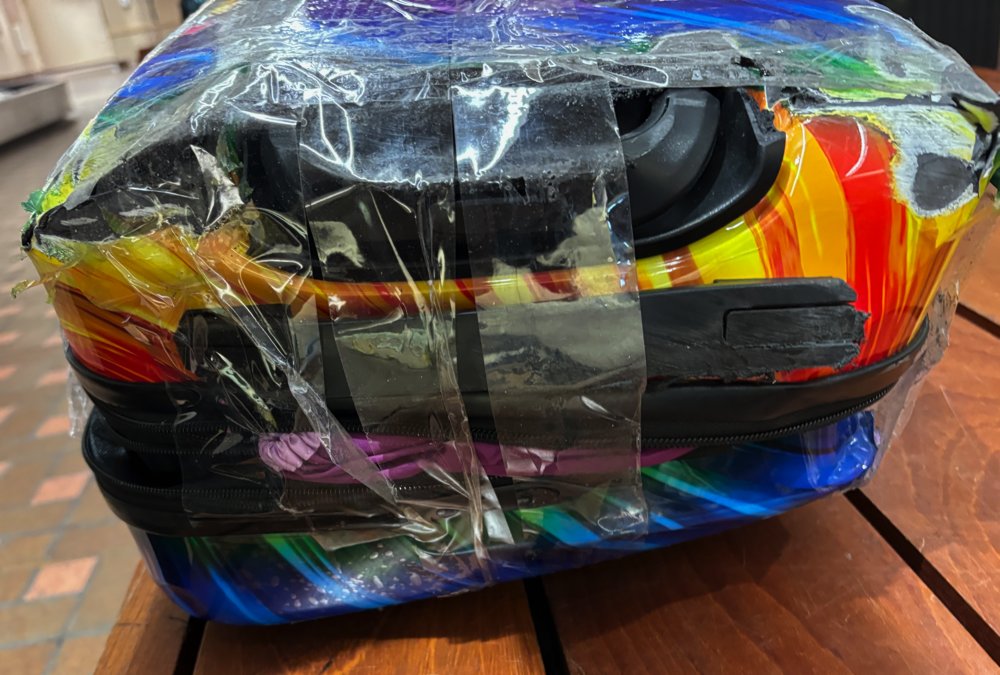 (Bi)coastal Rose tweet media