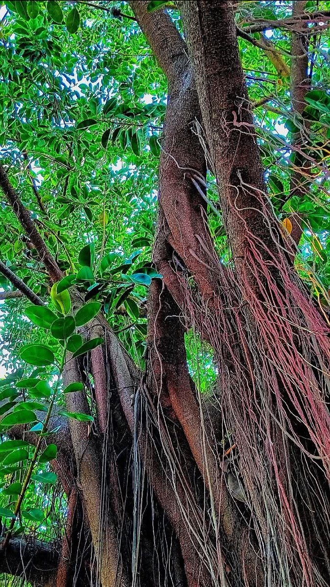 ☀️☯️ Ĕxčèĺ Ďèé🌏🌱 tweet media