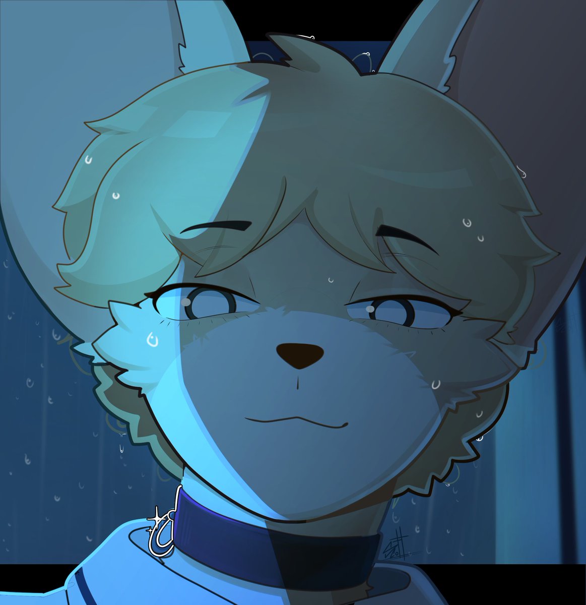 DanielScott🧡🇲🇽 tweet media